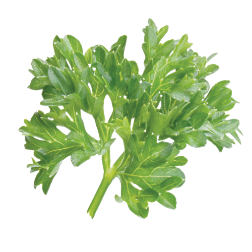 Parsley
